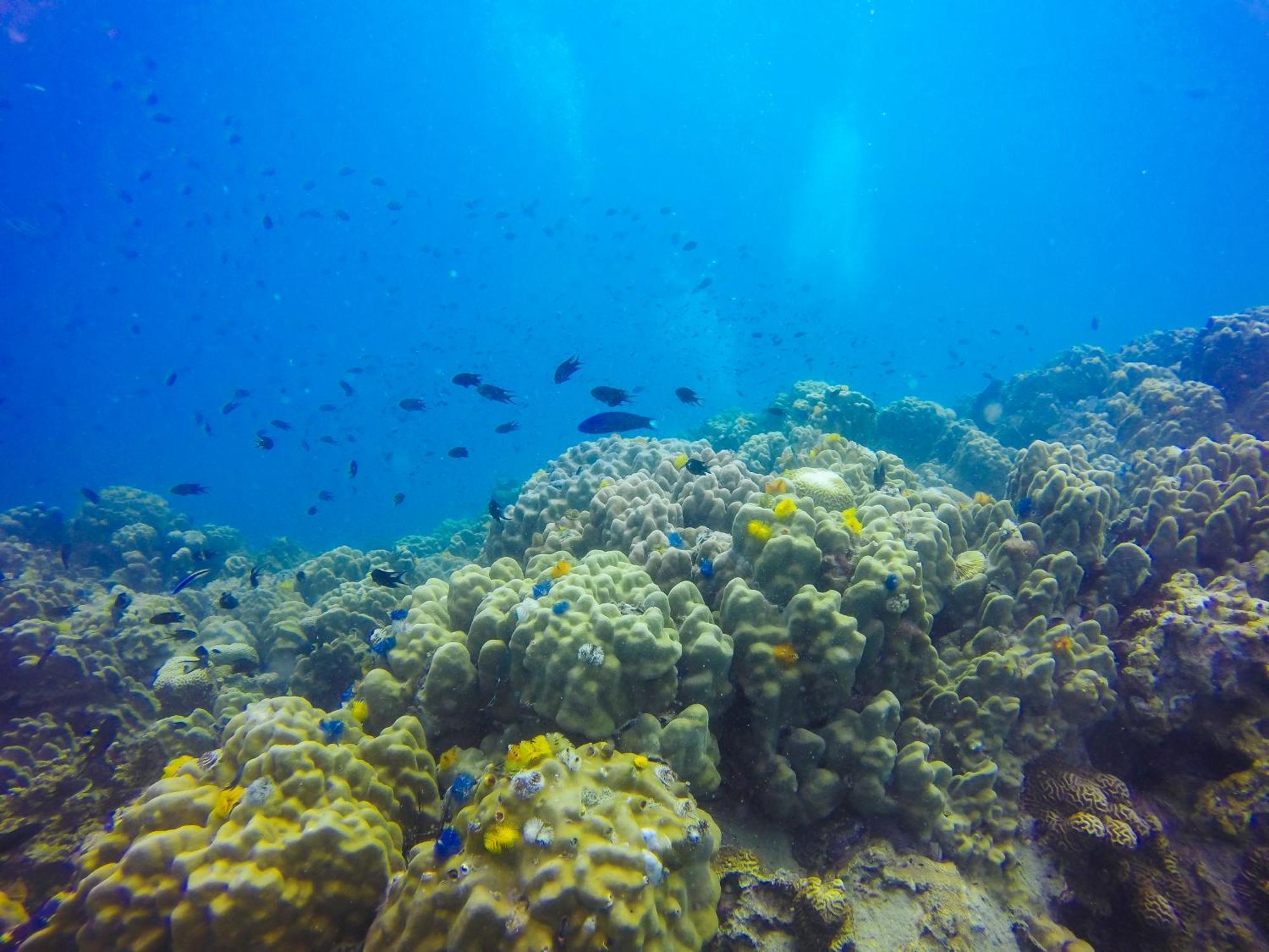 Pinnacle Koh Tao Resort Eksteriør bilde